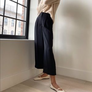 Aritzia Prose pant (black trousers)